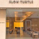 슬로우터틀 이미지