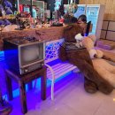 별을 마시다 이미지