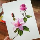 [백석]수채화&보타니컬 이미지