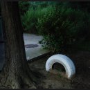 신지동초등학교 이미지