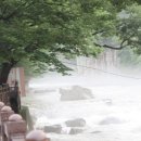 단양팔경펜션민박 이미지