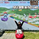 대라여자경로당 | 강원도 평창 놀거리 BEST2 모나용평 루지 마운틴코스터 주차 할인 대기시간