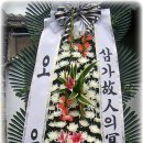 다인농업협동조합 이미지