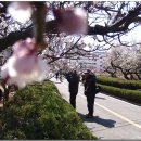 김해건설공업고등학교 이미지