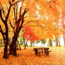 현리 광장 이미지