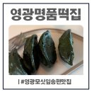 영광모싯잎송편(세종) | 영광명품떡집 영광 모싯잎송편맛집 모시송편 기피동부 먹어보기