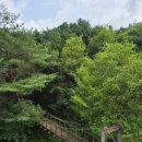 온 가족이 즐기는 「숲속음악소풍」 | [강원도/철원여행] 숲속에서 즐기는 해산물 바베큐와 힐링! 두루웰 숲속문화촌 1박 2일 후기