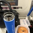 금성로 | 4월 강릉 당일치기 여행 후기 - 뚜벅이 코스 추천, 서점, 맛집, 카페 그리고 놀거리까지(feat. 2만보의...