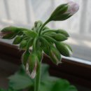 인천대공원 내 이미지