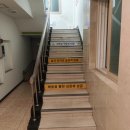 좋은유치원 | 낙성대 / 이수 애견유치원 다녀요~ [하이도기 애견유치원 &amp; 호텔] 댕치원, 애견호텔 추천, 후기