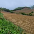 군장농원 이미지