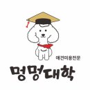 멍멍대학 이미지