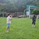 팔색조펜션
