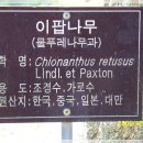 장생도라지박물관 이미지