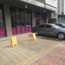 서초대로27길 55-3 | 3월 월기 : 혈중 경부선 농도 수치 과다, 좋음, 좋음, 좋음!