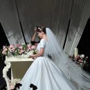 보니타플랜트샵 | Chap.11🤵🏻🤍👰🏻‍♀️| We Got Married [23년 9월 예식/ 더파티움여의도 본식 후기]