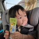 본죽 | 👶10개월 아기간식으로 추천하는 베이비본죽티딩러스크 후기