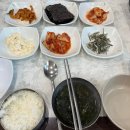 제주갈치대기정 | 제주도 서귀포 맛집 제주갈치대기정 뼈없는갈치조림, 고등어구이 내돈내산 후기