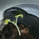 월명농장 이미지