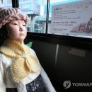 춘천평화의 소녀상 이미지