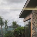 고내다운 이미지