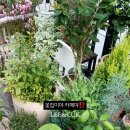 향로산로 네이버블로그
