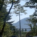 숲속에 안뜰 이미지