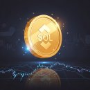 sol 이미지