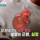 이런 식품이 심장에 좋은 이유는 이미지