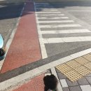 쿠마와푸코네 이미지