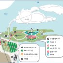 자라섬 캠핑장 이미지