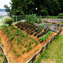 오투오션2 이미지