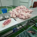 백숙용통오리 (로스.주물럭용생오리 할인에. 또할인 12시까지) 이미지