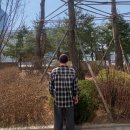 세컨드로우