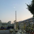 서이초교 사거리 횡단보도 이미지