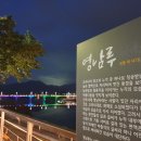 남천교~밀양교 이미지