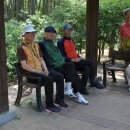 당신이 있어 좋은세상 이미지