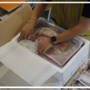 제주은갈치 이미지