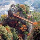 경보사 이미지