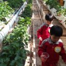 별밭어린이집 이미지