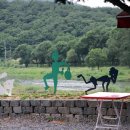 섶다리 공중화장실 이미지