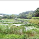 섬말공원 이미지