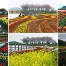 남해-129 이미지