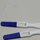 청량천 | 임신초기부터 지금까지 이야기