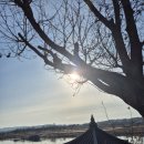 신륵사 화장실 | 겨울 여행 여주 가볼만한곳 해돋이 명소 신륵사