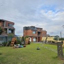 티에라 비바 이미지