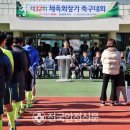영양군 생활체육공원 축구장 네이버블로그