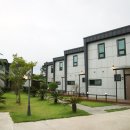 제주다모르 이미지