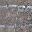 돼지우리 이미지