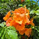 더프리미어공인중개사사무소 이미지